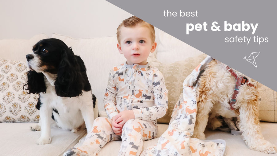 Pet and Baby Safety Guidelines