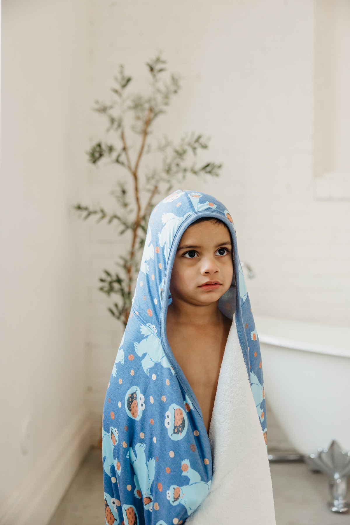 Premium Big Kid Hooded Towel - Cookie Monster