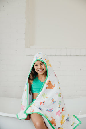Premium Big Kid Hooded Towel - Sesame Friends