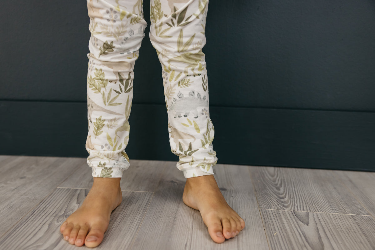 2pc Long Sleeve Pajama Set - Rex
