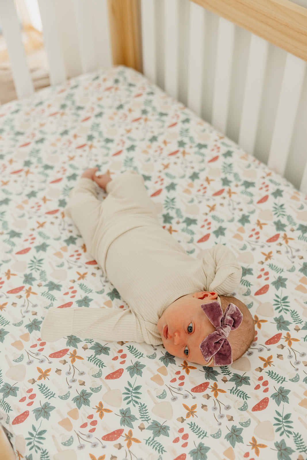 Premium Knit Fitted Crib Sheet - Ivy