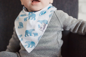 Baby Bandana Bibs - Arctic