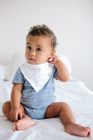 Baby Bandana Bibs - Arctic