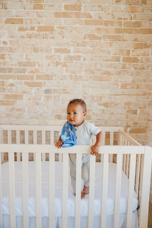 Three-Layer Security Blanket Set - Cookie Monster