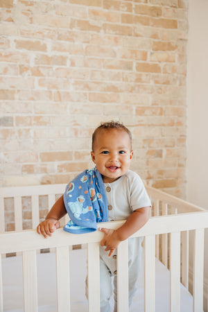 Three-Layer Security Blanket Set - Cookie Monster