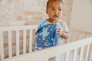 Three-Layer Security Blanket Set - Cookie Monster