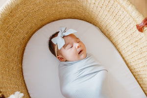 Classic Nylon Bow - Taylor