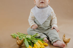 Baby Bandana Bibs - Peter