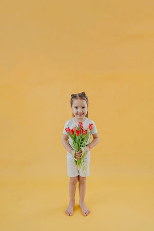 2pc Short Sleeve Pajama Set - Peter