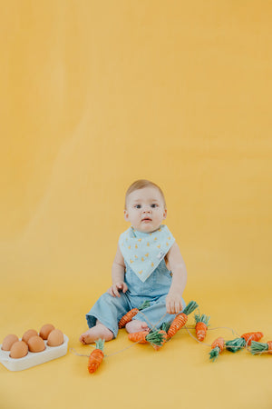 Baby Bandana Bibs - Peter