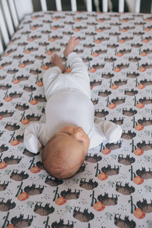 Premium Knit Fitted Crib Sheet - Bison