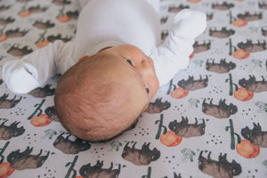 Premium Knit Fitted Crib Sheet - Bison