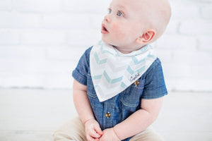 Baby Boy Bib Bundle - Copper Pearl - 6