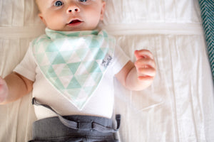 Baby Boy Bib Bundle - Copper Pearl - 10
