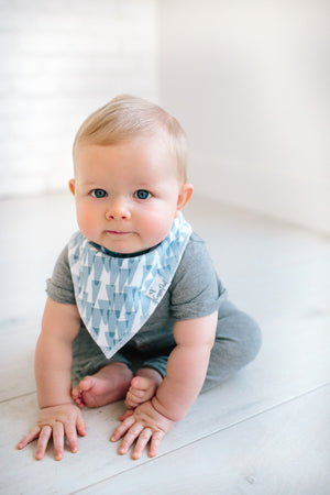 Baby Bandana Bibs - Arctic