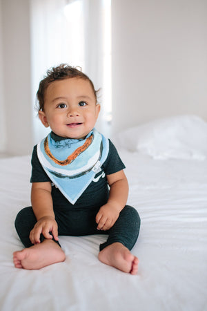 Baby Bandana Bibs - Arctic