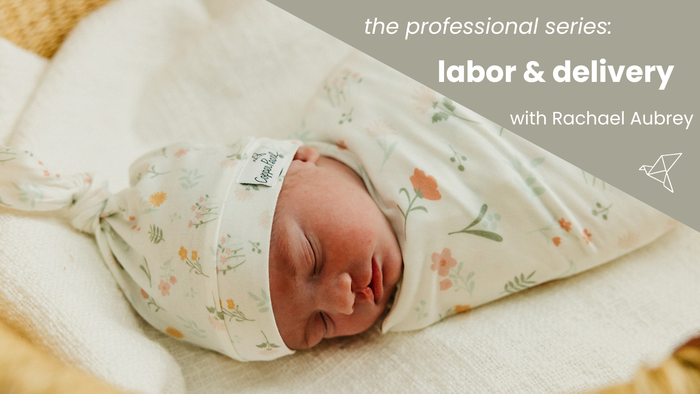 Professional Series: Labor & Delivery with Rachael Aubrey