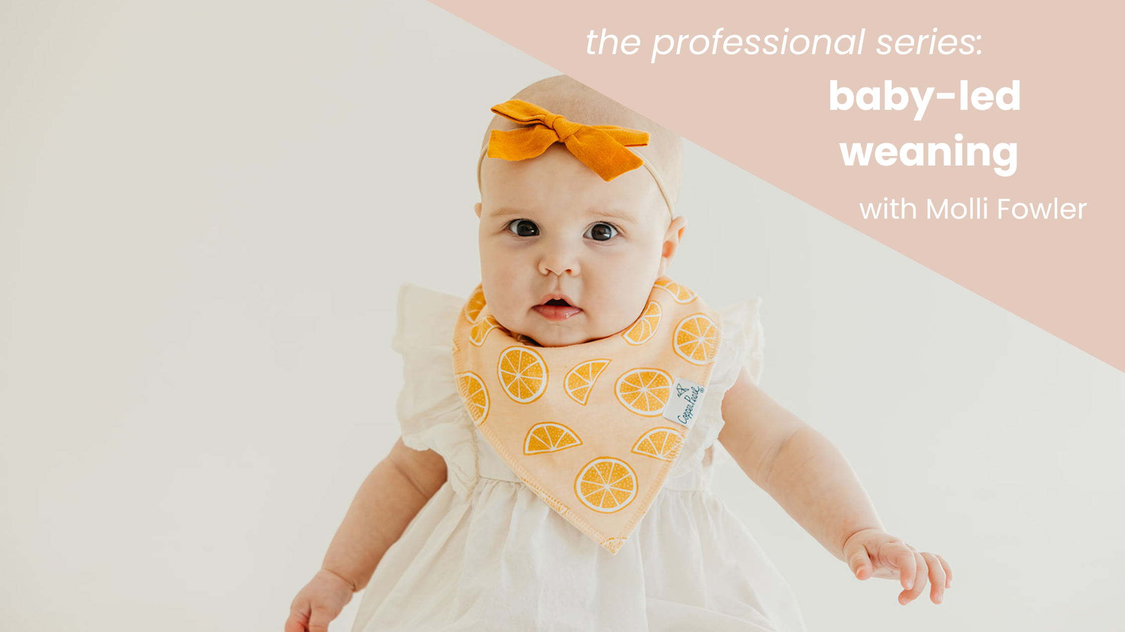 Professional Series BabyLed Weaning with Molli Fowler Copper Pearl