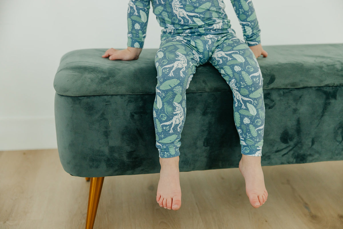 2pc Long Sleeve Pajama Set - Jurassic Park