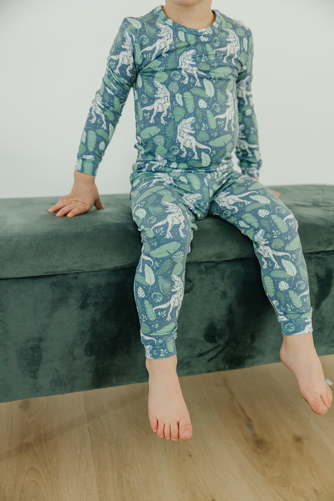 2pc Long Sleeve Pajama Set - Jurassic Park