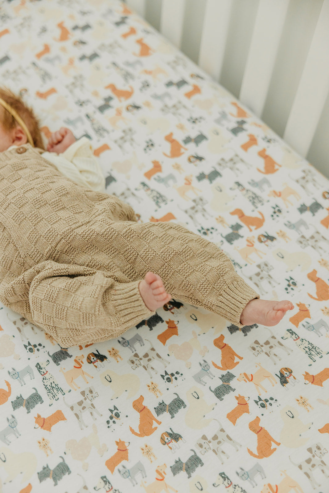 Premium Knit Fitted Crib Sheet - Rufus