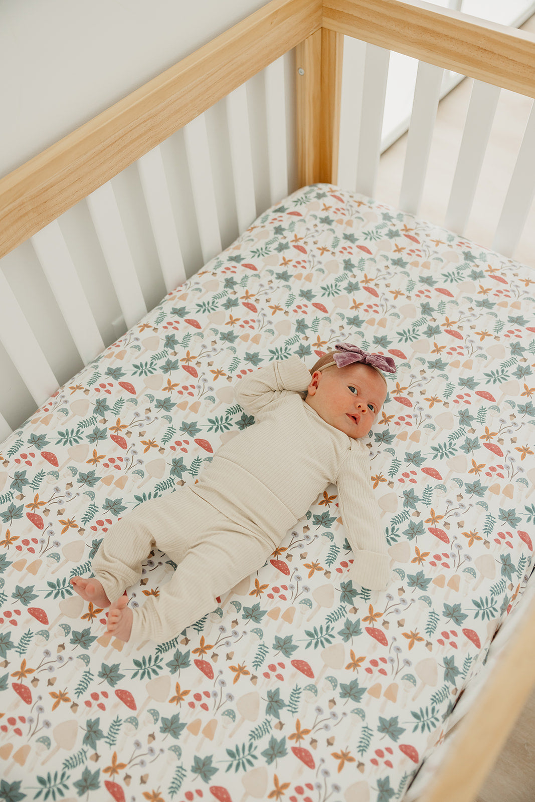 Premium Knit Fitted Crib Sheet - Ivy