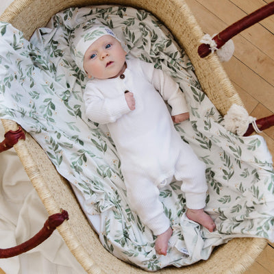 Copper Pearl Premium Knit Fitted Crib Sheet - Fern main image 0