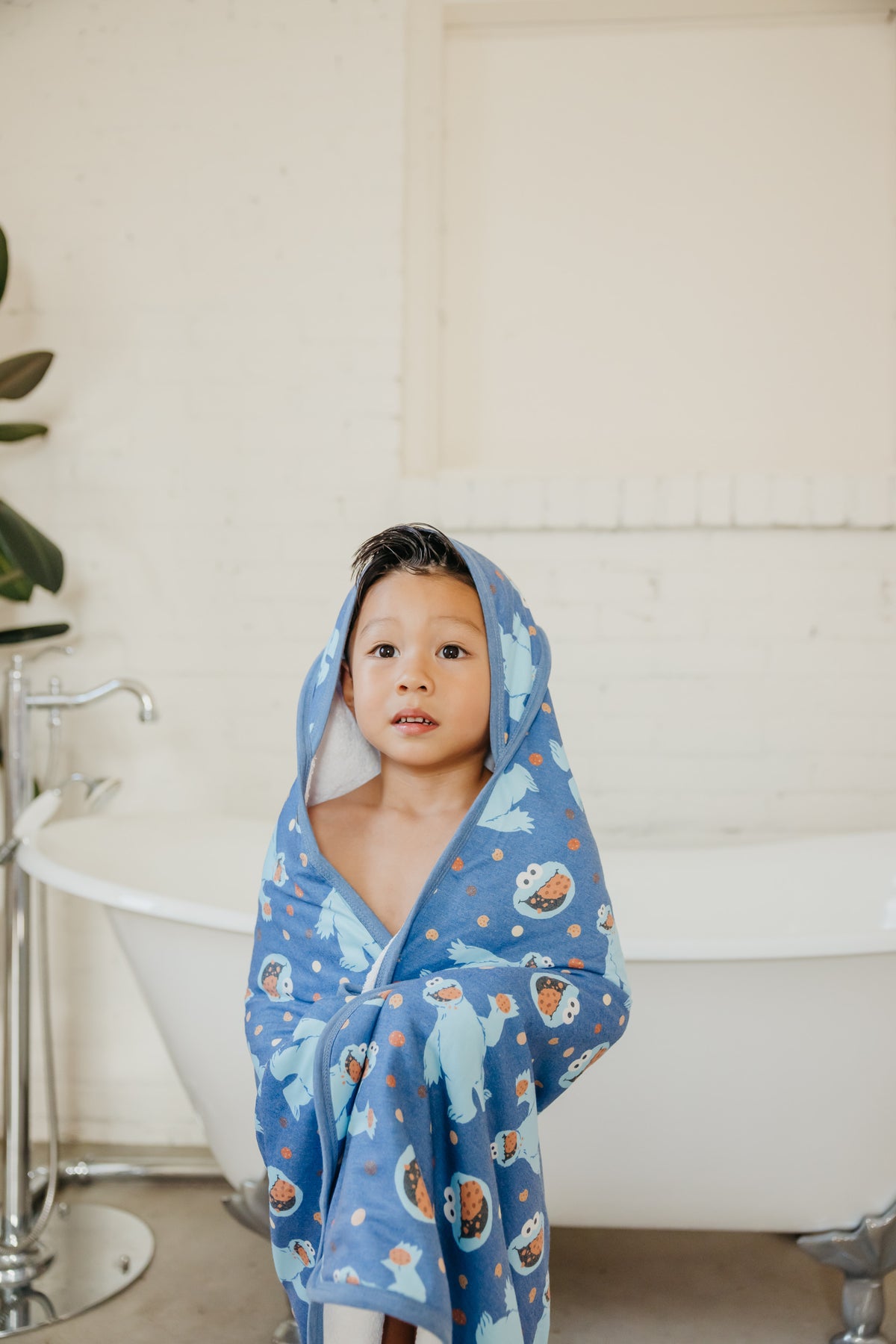 Premium Baby  Knit Hooded Towel - Cookie Monster
