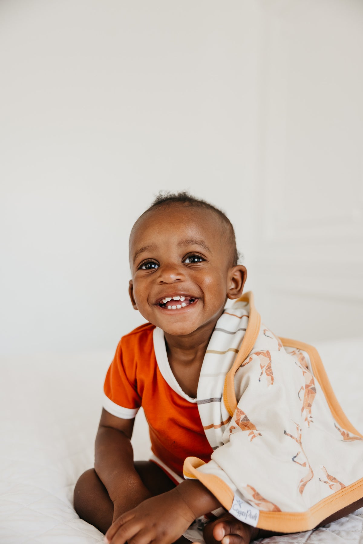 ThreeLayer Security Blanket Set Swift Copper Pearl