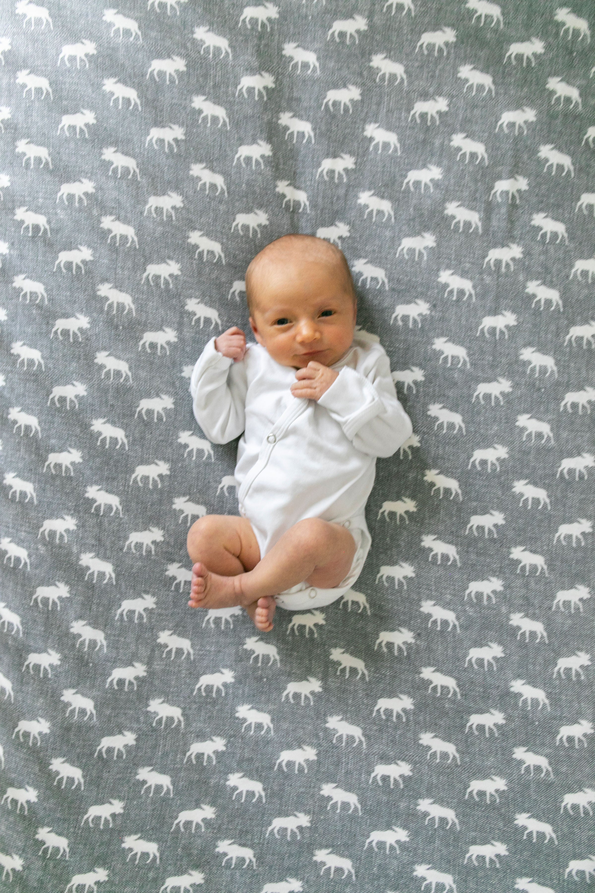 Premium Knit Fitted Crib Sheet - Scout