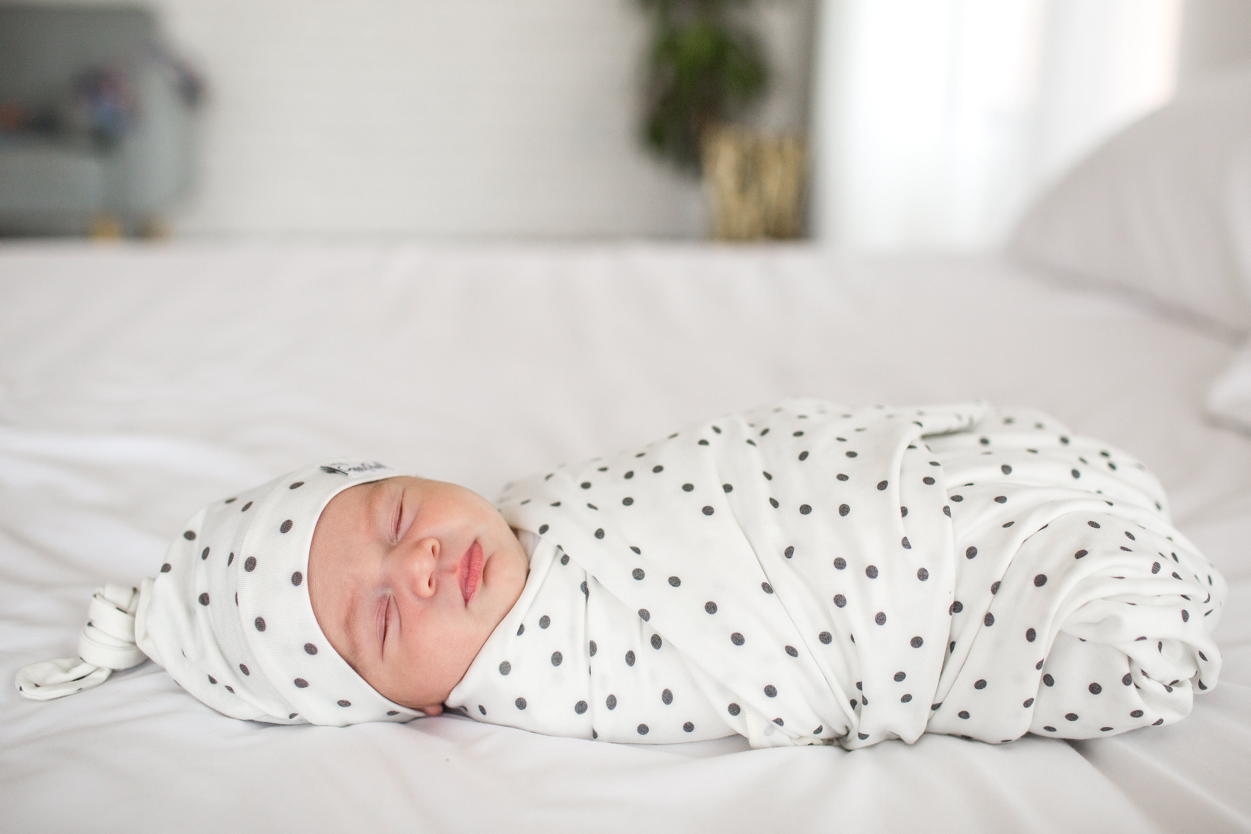 Copper pearl willow online