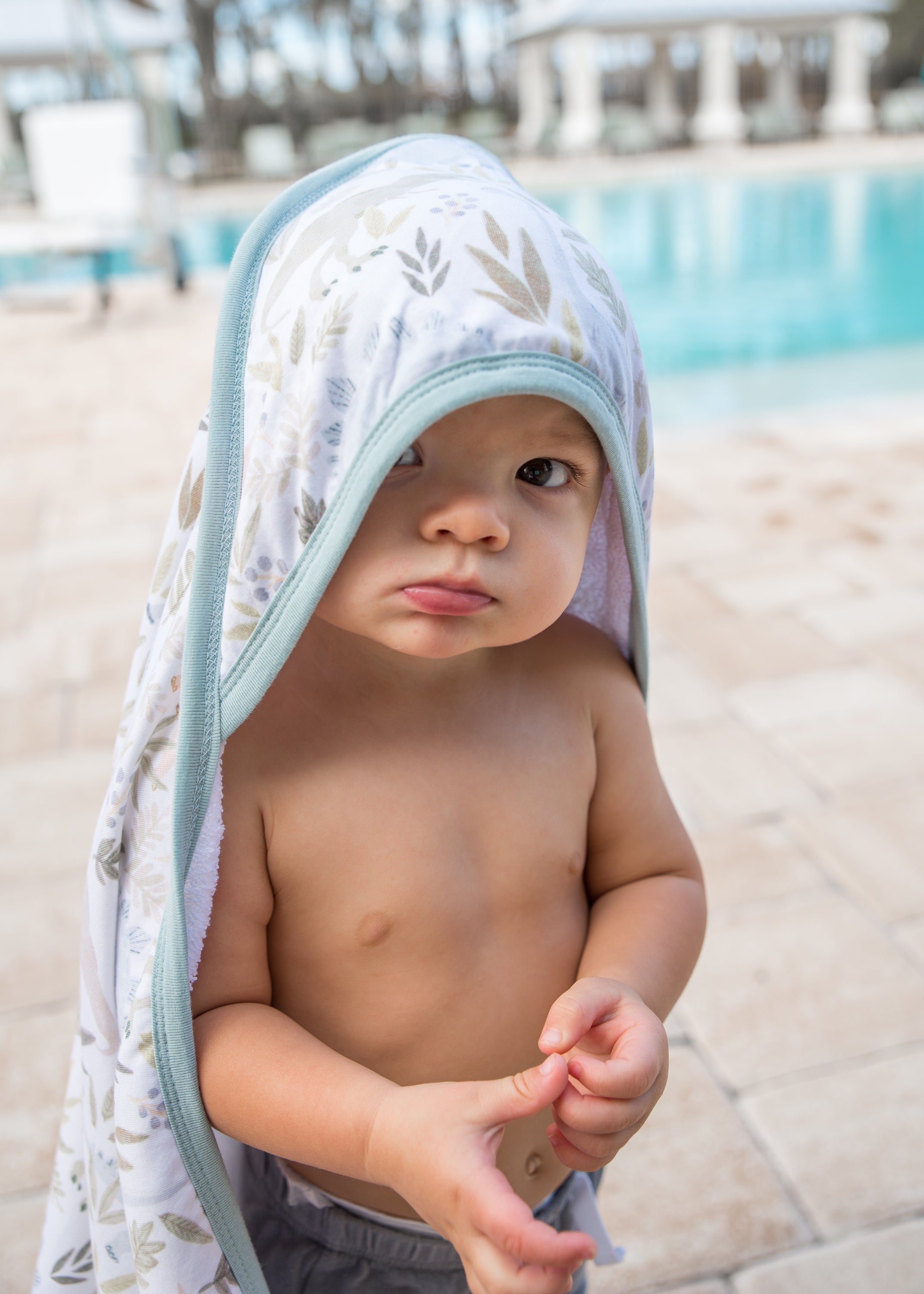 Copper Pearl Premium Baby Knit Hooded Towel-Cove main image 0